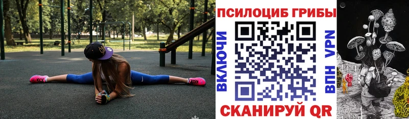 Псилоцибиновые грибы GOLDEN TEACHER  Азнакаево 
