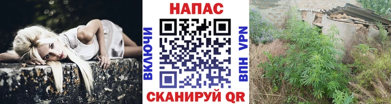 Конопля семена  наркота  Азнакаево 